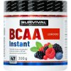 Survival BCAA Instant 300 g ananás