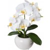 Gasper Gasper Orchidea v keramickom kvetináči, 35 cm, biela