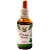 Salvia Paradise Meduňka Mellisa tinktura 50 ml
