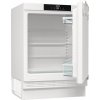 Gorenje RIU609EA1