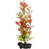 Tetra Red Ludwigia S 15 cm