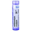 Antimonium Crudum gra.1 x 4 g 30CH
