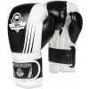 Boxerské rukavice DBX BUSHIDO B-2v3A Veľkosť: 12oz