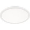 TRIO R62922401 Camillus stropné svietidlo LED 1x24W 2000L 3000K IP44