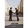 Plagát, Obraz - Pink Floyd - Wish You Were Here, 61 × 91.5 cm