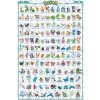Plagát, Obraz - Pokemon - Hoenn Pokemon English, 61 × 91.5 cm