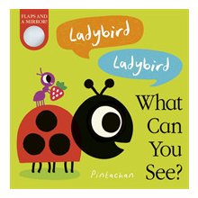 Ladybird! Ladybird! What Can You See?