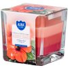 BISPOL Hibiscus - White sage170g