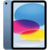 iPad 11