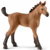 Schleich 13854 Štvrťohrebec