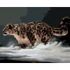 ZUTY Maľovanie podľa čísel - LEOPARD NA SNEHU (D. RUSTY RUST) Rámovanie: vypnuté plátno na rám, Rozmer: 40x50 cm