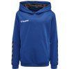 Hummel AUTHENTIC KIDS POLY HOODIE 204931-7045