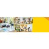 LEGO LEGO® Creator 31169 Písací stroj s kvetmi
