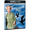 Ptáci 4K Ultra HD Blu-ray