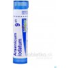 Arsenicum Iodatum gra.1 x 4 g 9CH