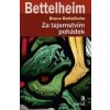 Za tajemstvím pohádek (Bruno Bettelheim)