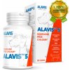 Alavis 5 kĺbová výživa 90 tbl