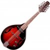 Stagg M-50