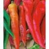 Paprika sladká semená 0,5 g