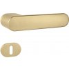 MPkovania MPK - IMPRESSA - OR, kľučka/kľučka, rozety BB, ZLM - zlatá matná (SATIN BRASS)