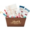 LINDT Hochfein Pralinky 120g + SLIM mliečna č. s čerešňovým krémom 100g + SLIM ICE Spaghetti 100g + UMBRELLA Dino 16g + UMBRELLA Love 16g + LINDOR Raspberry & Cream 4x50g + LINDOR Kokos 4x50g (set)