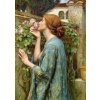 ENJOY John William Waterhouse: Duše růže 1000 dielov