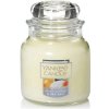 Yankee Candle Small Jar Juicy Citrus&Sea Salt 104g