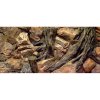 Diversa 3D pozadie Koreň 120 x 50 cm