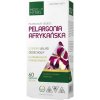 Medica Herbs Africká pelargónia 450 mg - 60 kapsúl
