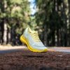 Salming Recoil Prime 2 Yellow 43 1/3