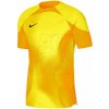 Brankársky dres Nike Dri-FIT ADV Gardien 4 M DH7760-719