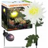 ZÁHRADNÁ SOLÁRNA LAMPA ZAPICHOVACIA S KVETOM CHRYZANTÉMY