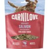 Carnilove Dog Crunchy Snack Salmon losos + čučoriedky 200 g