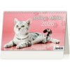 Stolový kalendár riadkový 22,6x13,9 cm - Kočky/Mačky 2026