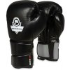 BUSHIDO Boxerské rukavice DBX B-2v9 - 12oz.