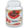 Golden Natur Železo + vit.C + kyselina listová 100 kapsúl
