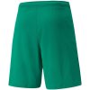 Pánske teamRISE Short M 704942 05 - Puma S
