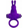Pretty Love Vibrant Penis Ring 1 PURPLE