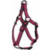 Postroj Active Dog Premium M ružový 2x53-77cm