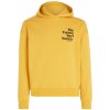 Dámska Mikina O'NEILL FUTURE SURF SOCIETY HOODIE 1750078-12022 – Žltá