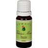 Kamala Vonný olej Škoricové jablko (10ml)
