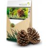 Ectovit mykorhízne huby Stromy 100g