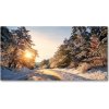 Fotoobraz na skle Cesta v lese zima 100x50 cm