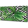 Moderný obraz canvas na ráme Tropické lístia 100x50 cm