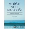 Mořští vlci na souši aneb jak nám uplavaly lodě - Jan Hájek