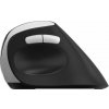 RAPOO Bezdrátová ergonomická myš EV250