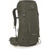 Osprey Kestrel 38l Bonsai Green