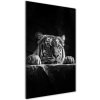 Vertikálny foto obraz akrylové sklo Tiger 50x100 cm