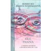 Bly Robert: Král panna - o smíření mužského a ženského pohlaví (na rozboru klasického pohádkového příběhu představené odhalování mužského a ženského archetypu v nás a jejich vzájemného smíření ( 356 s