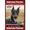 Doberman Pinscher Training Book for Dogs and Puppies by Bone Up Dog Training: Are You Ready to Bone Up? Easy Training * Fast Results Doberman Pinscher (Mrs Karen Douglas Kane)(Brožovaná)